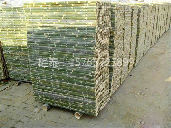 如何養(yǎng)好竹子